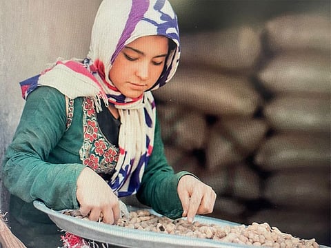 ‘Mira’, a social enterprise of the Fatima Bint Mohamed Bin Zayed Initiative (FBMI), has helped several Afghan farmers find consumers for their products. 