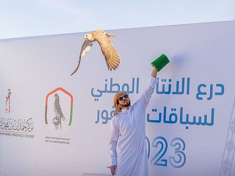 A participants displays his falconry skills at the Shield for National Falcons Breeding Championship at Dubai’s Al Ruwayyah fields.