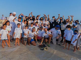 The National Aquarium and EAD rescue, rehabilitate and release over 500 sea turtles