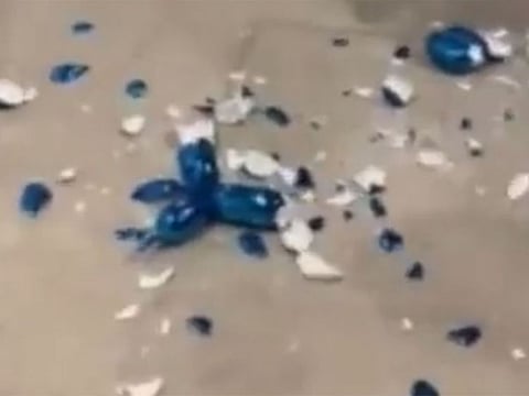 'Ballon dog' sculpture by Jeff Koons shattered to pieces.