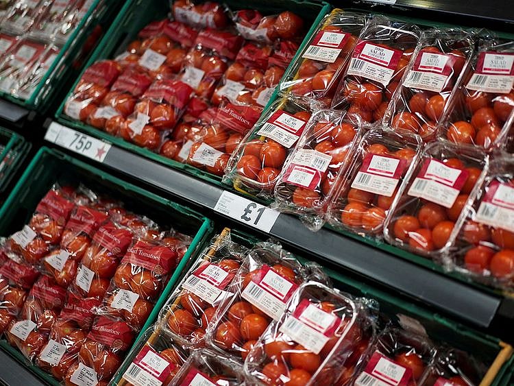 20232102 tomatoes
