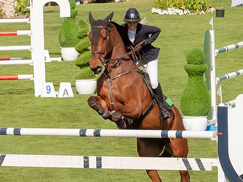 Taking place over four days, it promises to be an event for all the family.