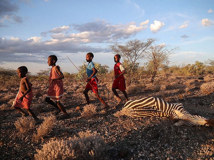 20232302 maasai