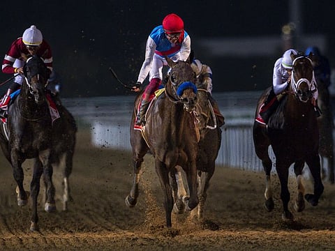Country Grammer, ridden by Frankie Dettori and trained by Bob Buffert, wins the  Dubai World Cup 2022 at Meydan. The Italian jockey will once again partner the winner in Saturday's $20 million Saudi Cup.