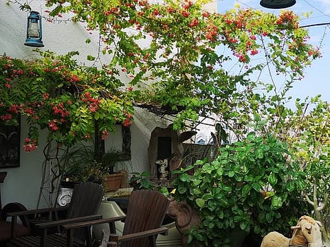 Vengaserry's terrace garden
