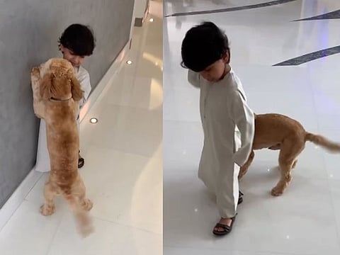 Viral: Sheikh Hamdan shares throwback video of a dog playing with a child