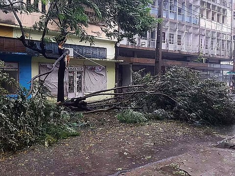 Trees are strewn across a street in Quelimane, Mozambique.