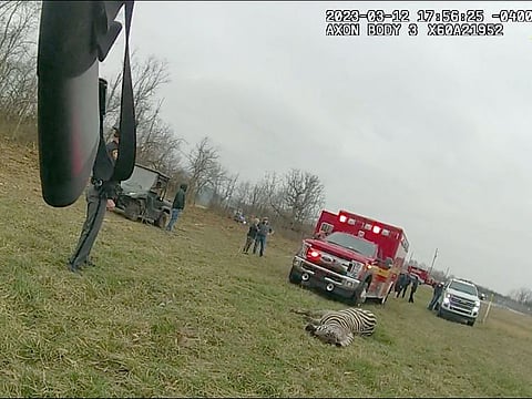 This still image released by the Pickaway County, Ohio, Sheriff's Office shows a zebra after it was shot dead by police officers. 