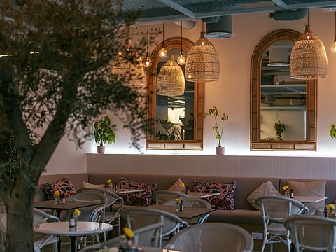 Looking for new food spots to try? Here's a list of the newest offerings. (Pictured: Planet Terra)