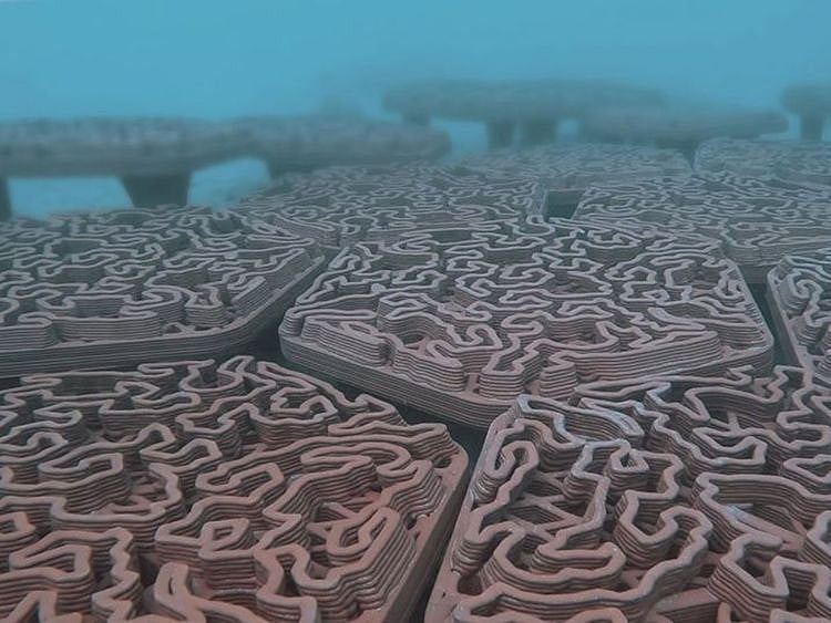 Archireef-Abu-dhabi-1679207092480