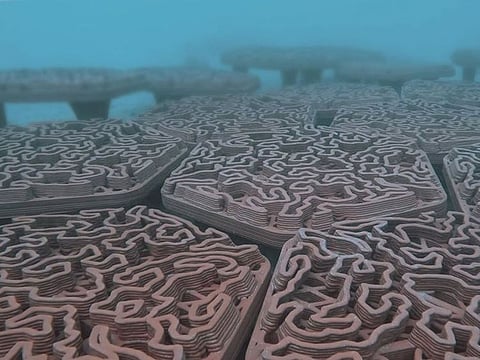 The tiles have been placed in a marine protected area near Um Khorah Island in Al Dhafra Region in Abu Dhabi