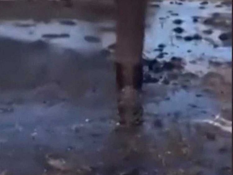 Kuwait oil spill
