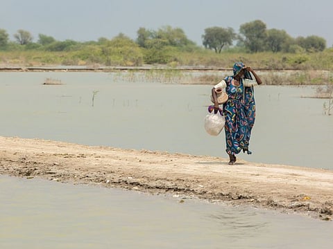 A woman carries a pot to fill drinking water in Umerkot district in Sindh province, Pakistan, on  October 10, 2022.  