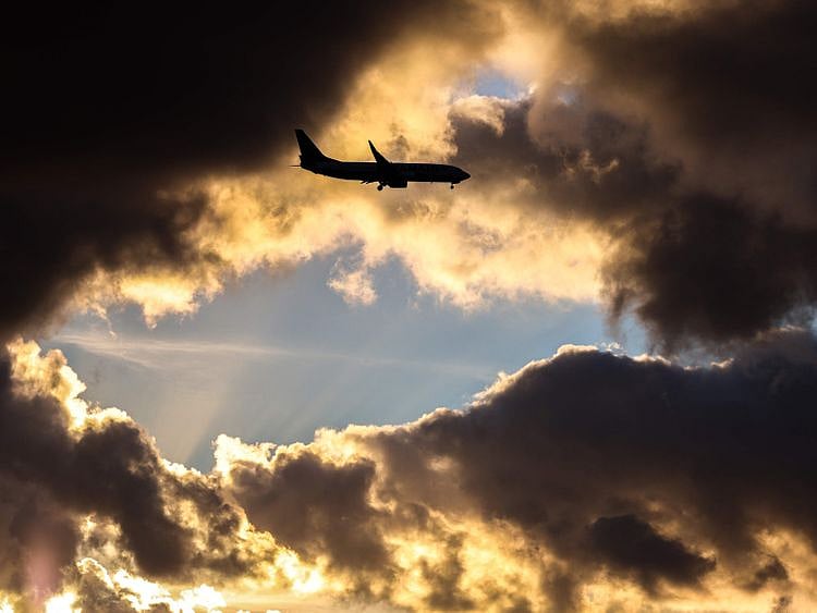 Copy of 879399-01-02-1679497786807