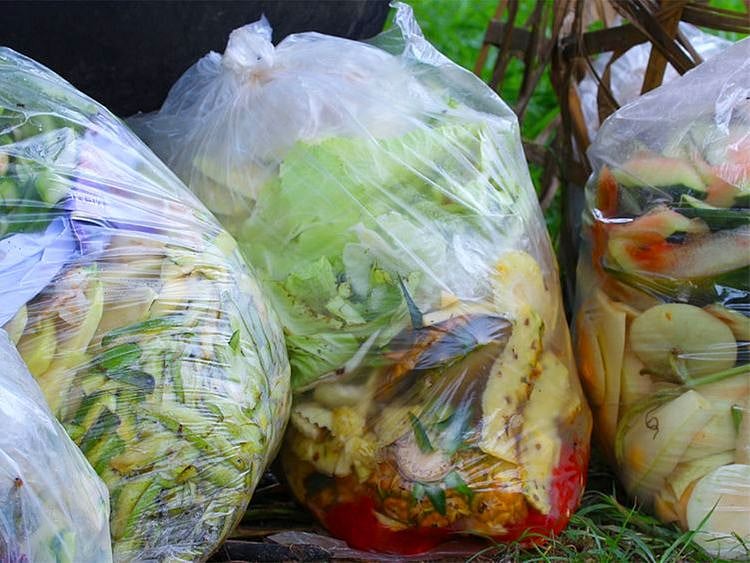 20232603 food wastage