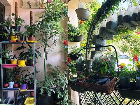 Katherine Xavier dismantled her trampoline and swing to make an arch for her kitchen garden