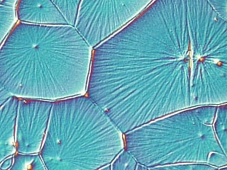 Perovskite: Solar energy for you and me?