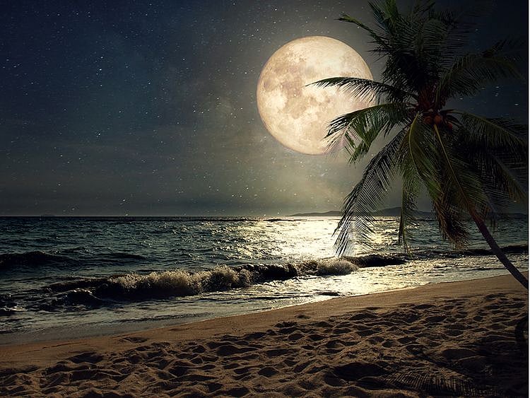 Why suicidal deaths spike during the full moon week