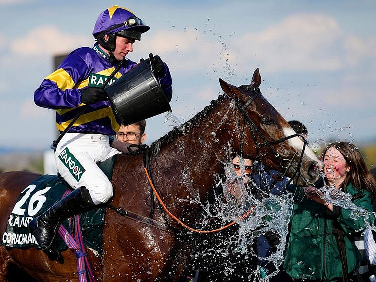 Grand National Horse Race