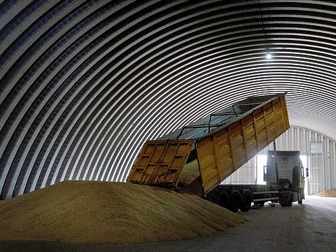 A dump track unloads grain in a granary in the village of Zghurivka, Ukraine, Aug. 9, 2022. 