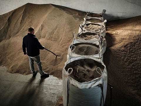A farmer and member of the AgroUnia union moves rye grain stores on a farm in Sedziejowo, Poland, on Monday, April 17, 2023.