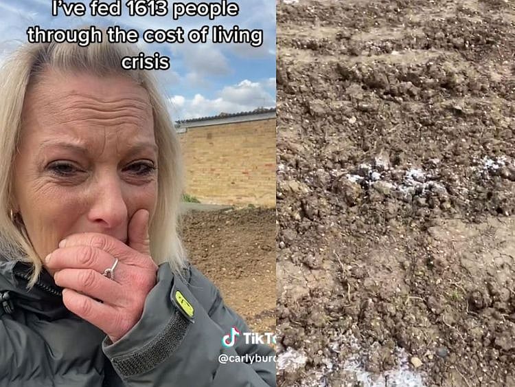 UK woman’s garden sabotaged by a vandal, TikTokers help