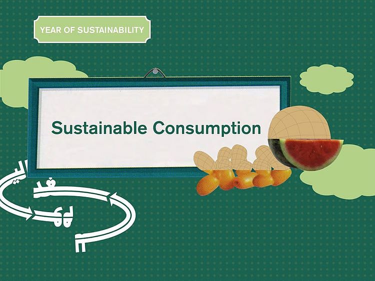 sustainability guide launched by year of sustainability in uae