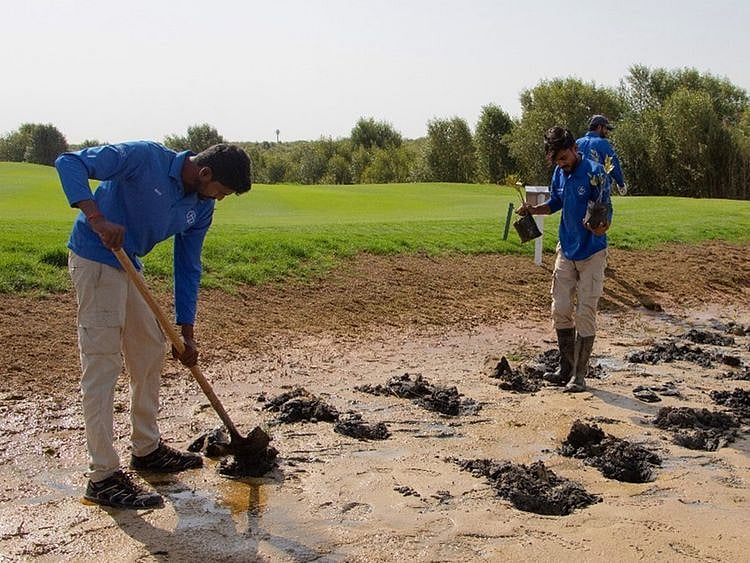 Sport - Golf - Al Zorah Golf Club