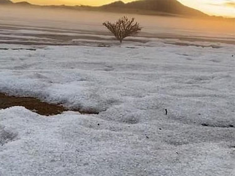 Untitled-1-1681989750426