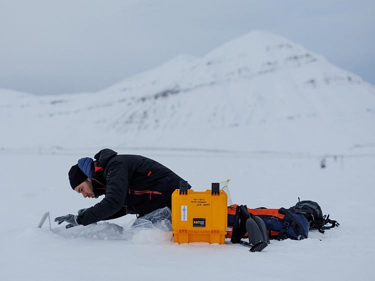 arctic-1682173267399