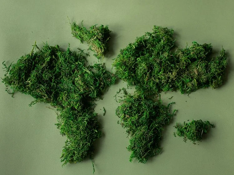 OPN World Earth Day