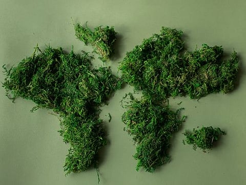 World Earth Day 2023