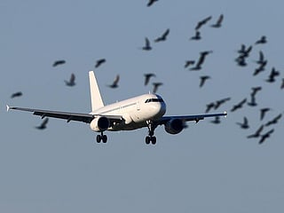 As many as 400 Iranians would be returning to Iran as part of the deal with the US, Iranian state television said. Illustrative image.