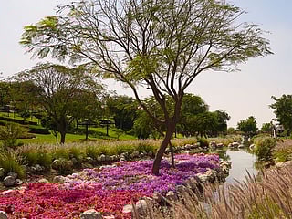 Explore UAE: Top things to do in Dubai this week