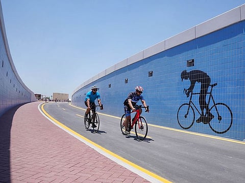 The tunnel is 6.6 metres wide