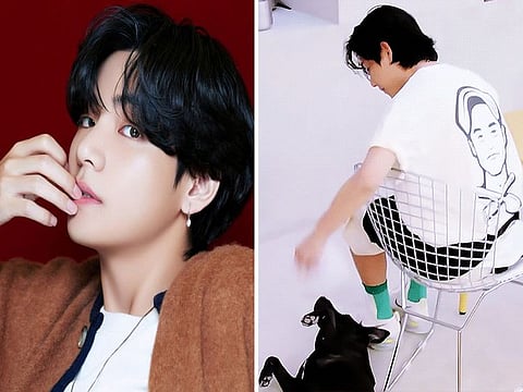 BTS's V pays for medical treatment of stray dog