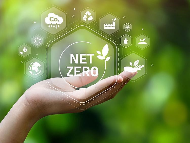 Net Zero