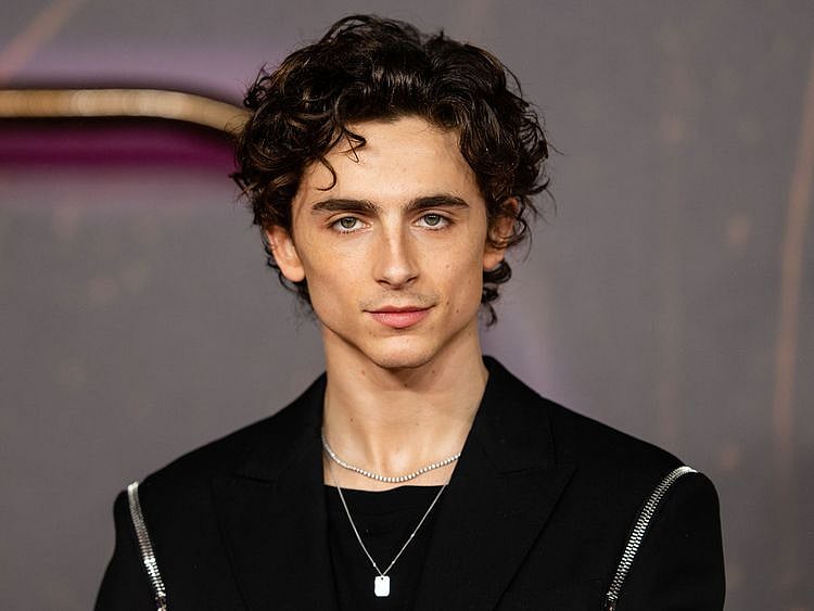Timothee Chalamet