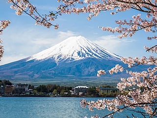 Tourist tax: Crowd control at Japan's Mount Fuji as hiking season begins