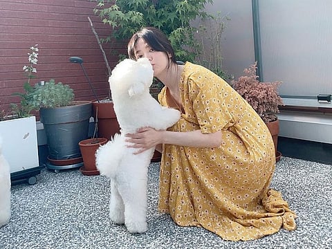 K-drama actress Song Hye-kyo shares photos with her pet
