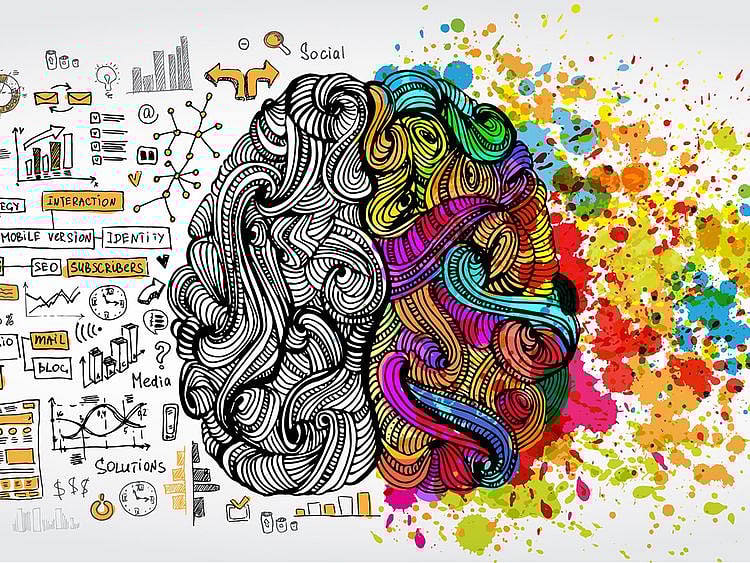 OPN CREATIVITY