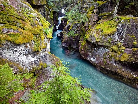 Avalanche Creek in Montana.