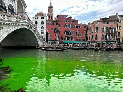 Gondolas navigate by the Rialto Bridge on Venice's historical Grand Canal as a patch of phosphorescent green liquid spreads in it, Sunday, May 28, 2023.