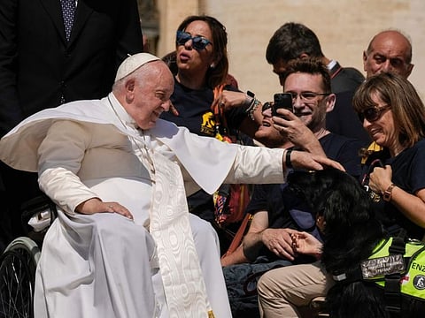 Pope Francis pets a guide dog during his weekly general audience in St. Peter's Square, at the Vatican.