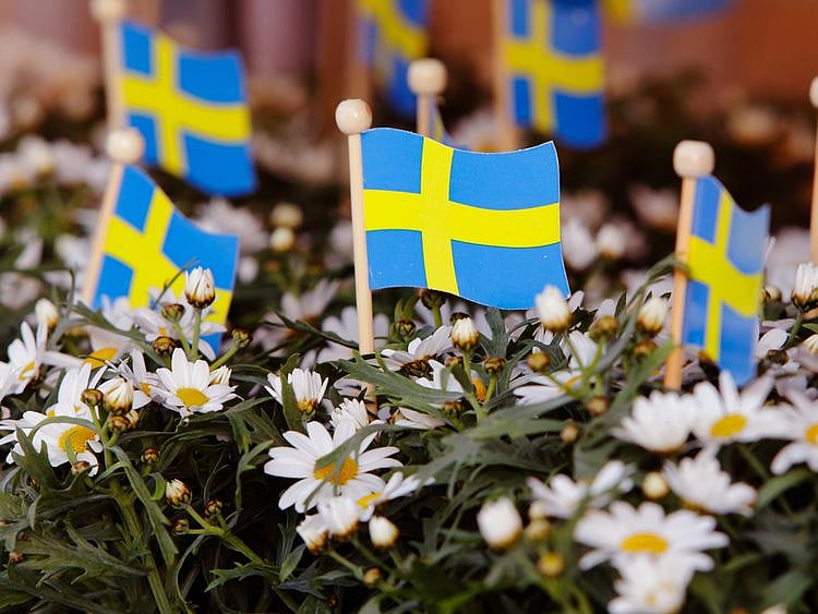 Swedish 