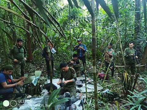 During the search, in an area where visibility is greatly limited by mist and thick foliage, soldiers on helicopters dropped boxes of food into the jungle, hoping that it would help sustain the children.
