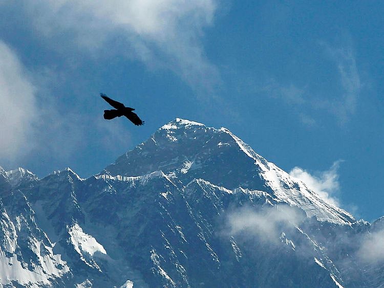A bird flies with Mount Everest seen in the background from Namche Bajar, Solukhumbu district, Nepal. 