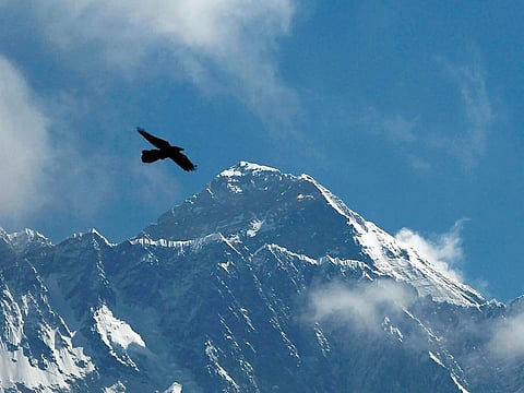 File photo: A bird flies with Mount Everest seen in the background from Namche Bajar, Solukhumbu district, Nepal. 