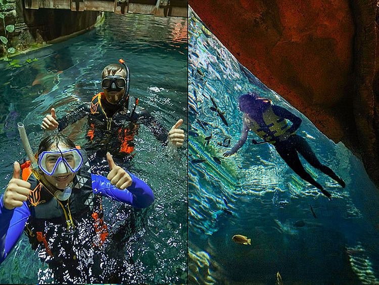 Green Planet Dubai rainbow River