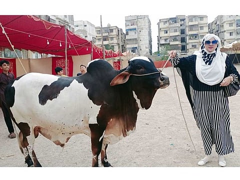 Ruqya Fareed, the women-led cattle market organiser, aims to empower women to confidently participate in the cattle-selling business. 